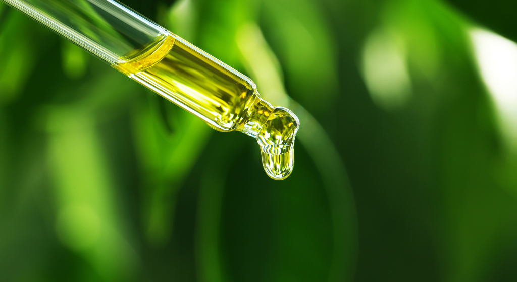 野菜エキスとは？種類や活用例、選定ポイントを食品業界向けに解説