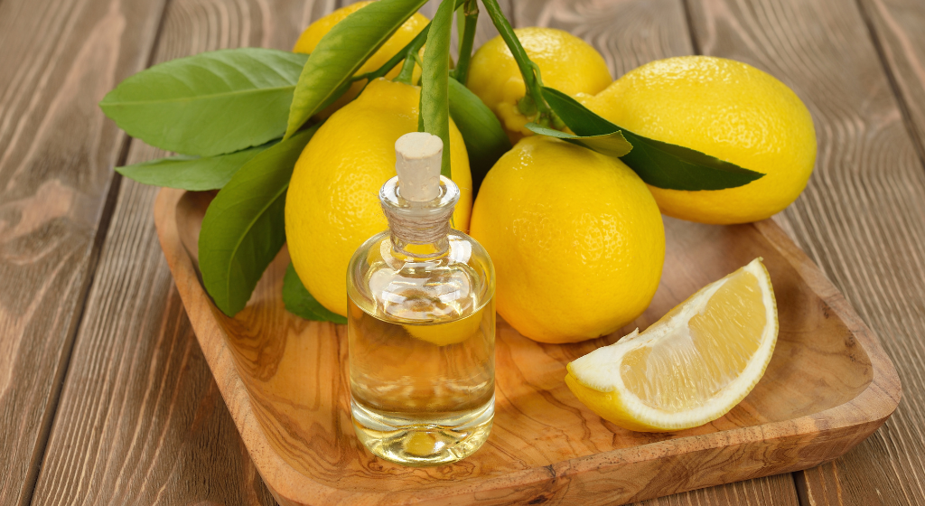 レモン精油とは？効能や食品業界での活用事例、注意点を解説