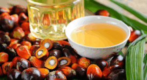 パーム核油の基礎と活用法を、食品業界担当者向けに解説