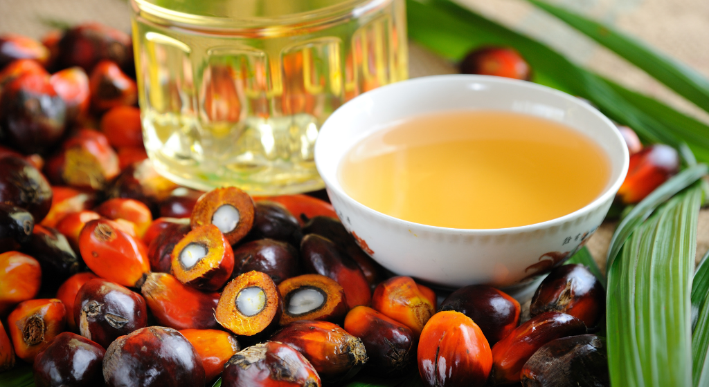 パーム核油の基礎と活用法を、食品業界担当者向けに解説