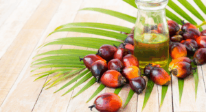 パーム油とは？メリットや活用事例を食品業界向けに解説