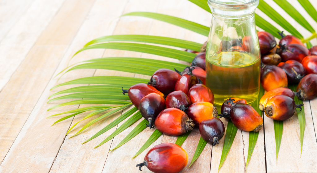 パーム油とは？メリットや活用事例を食品業界向けに解説