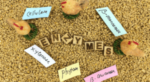 タンパク質分解酵素を含む食品一覧｜業務用の活用例と選び方を解説