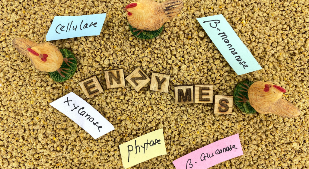 タンパク質分解酵素を含む食品一覧｜業務用の活用例と選び方を解説